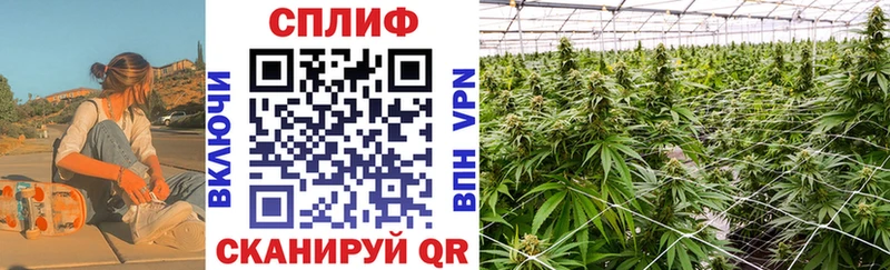 Канабис конопля  наркотики  Всеволожск 